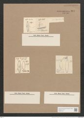 Navicula crucicula var. protracta Grun. (de-Toni-Nr.: Genus 1, Species 398) Zeichnungen Sammlung Grunow Nr. 904 (NHMW-BOT-W0367373)